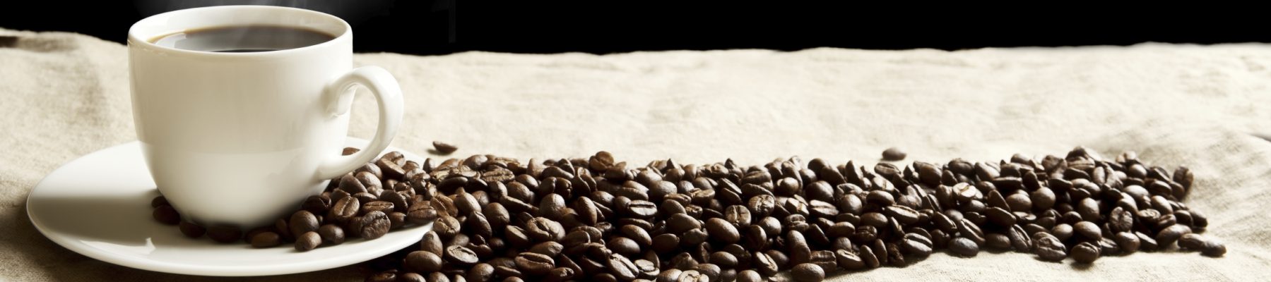 Simplecafelakegeneva.com